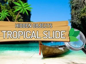 Hidden Objects Tropical Slide